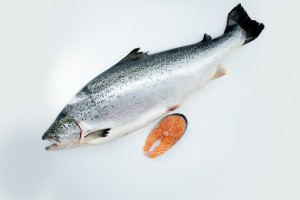 Salmon 6 a 7 kg la pieza - se venden en raciones